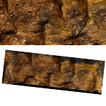 Cave Wall Backdrop (Crafted) #001 PDF